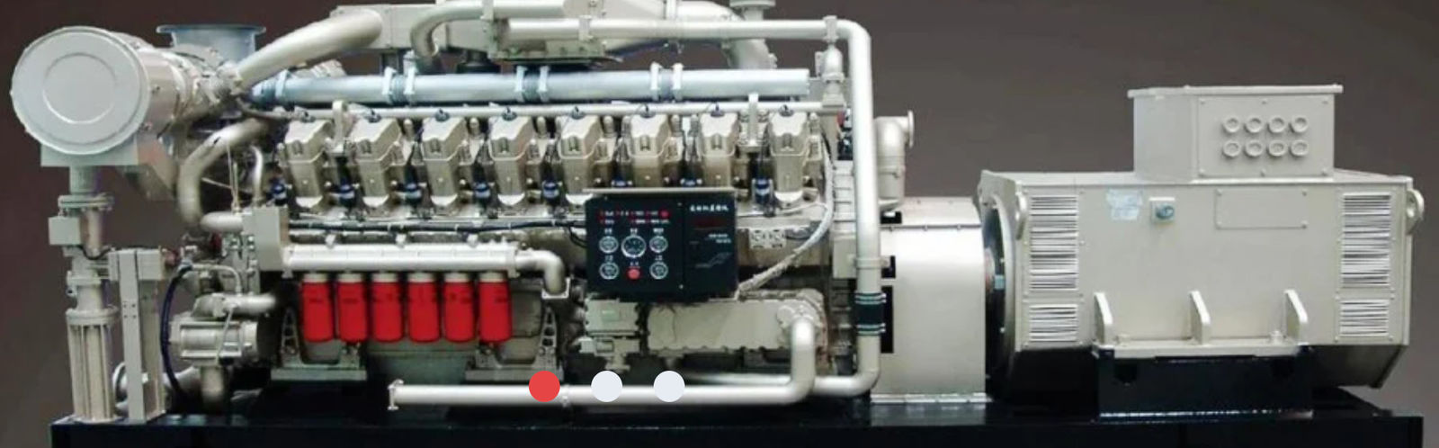 Sistema de generador del gas natural