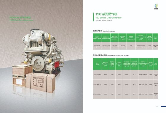 Opción de personalización del generador de gas de la serie 190 500GF-Nk para salida de tres fases de CA