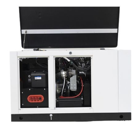 10kw15kw gas natural 1 fase propano butano mezcla generador de gas LPG para su beneficio
