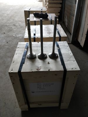 Personalización 118KG W12V190.03.01 válvula de admisión para 500kw generador de gas natural Shengdong