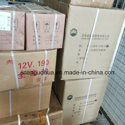 G12V190zldt1-2 Partes de generadores de gas natural de Jinan Bomba de agua por componente no estándar