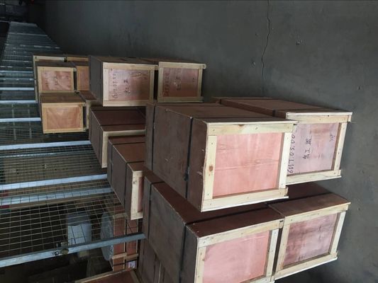 Construcción de pistones piloto de medios de agua Partes de motores marinos para motores diesel de la serie 8190 de Jinan