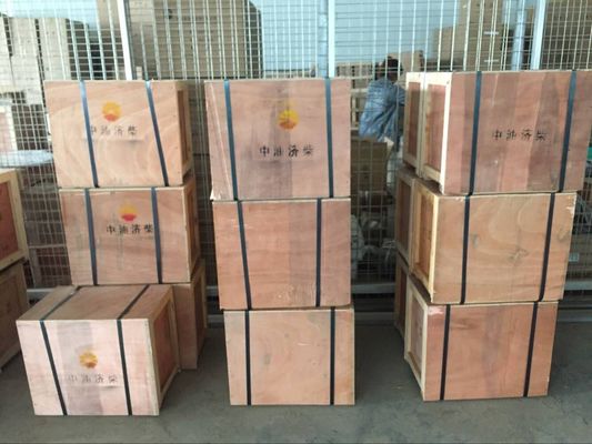 Construcción de pistones piloto de medios de agua Partes de motores marinos para motores diesel de la serie 8190 de Jinan