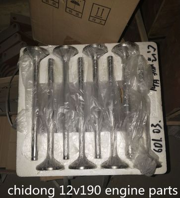 B6190zlc-1 Partes del motor del buque bombeador de arena Componente estándar para 100 kg de rendimiento