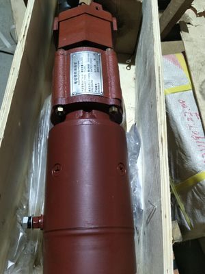 Bomba de aceite de preabastecimiento de aluminio 12V190 para partes de motores diesel 2012.54.00
