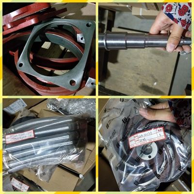 Performance Push Co1200/20 A12V190pzl Partes de motores diesel de Jinan con certificación CE