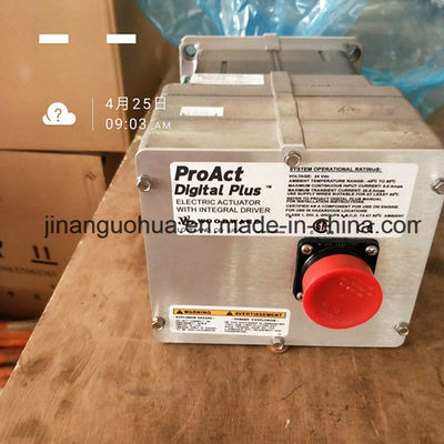Instalación portátil Motor diesel de Jinan 12V190 Chidong Partes de repuesto para el mercado