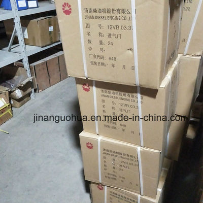 Instalación portátil Motor diesel de Jinan 12V190 Chidong Partes de repuesto para el mercado
