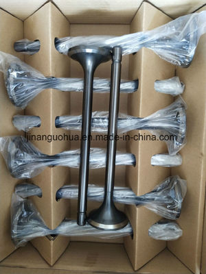 Conjunto de engranajes de acoplamiento del motor diesel de la serie 3000 Yozj750-20fdfa con conexión femenina
