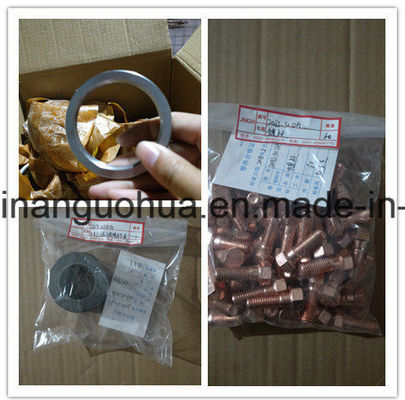 Solicitud personalizada ahora aceptada para 6190 Jichai Jinan Chidong motor diesel marino