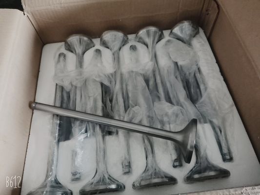 El motor de diesel 4 en línea Jichai Chidong en Jinan para Marine 4190zlc-2