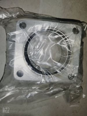El motor de diesel 4 en línea Jichai Chidong en Jinan para Marine 4190zlc-2