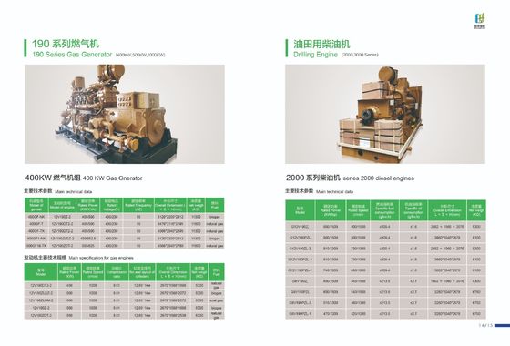 Opción de personalización del generador de gas de la serie 190 500GF-Nk para salida de tres fases de CA