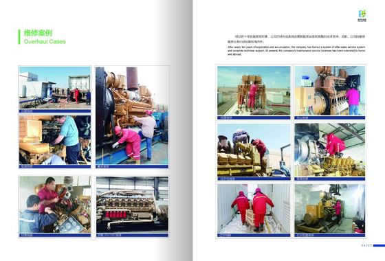 1000kw Bl12V190zld Diesel Generating Sets Jichai personalización para sus necesidades