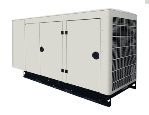 Conjunto de generadores de biogás de 60 kVA para mataderos agrícolas 1500 / 1800 Rmp
